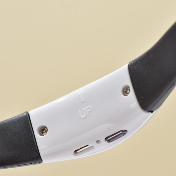 Pet Laser Toy Collar