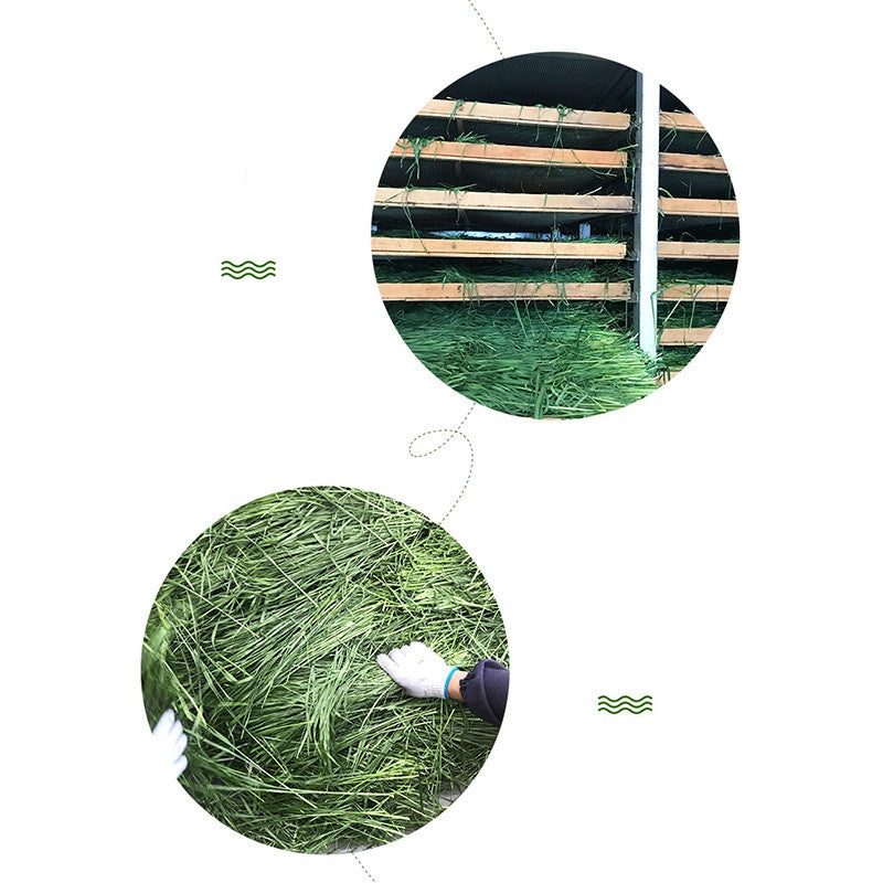 Natural Timothy Hay Chew Snacks for Small Pets
