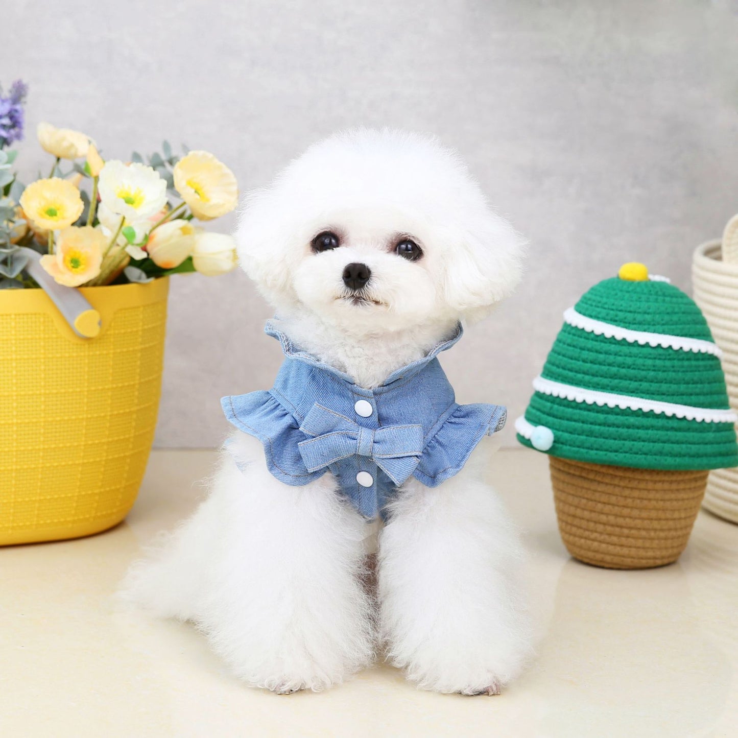 Summer Dog Outfit