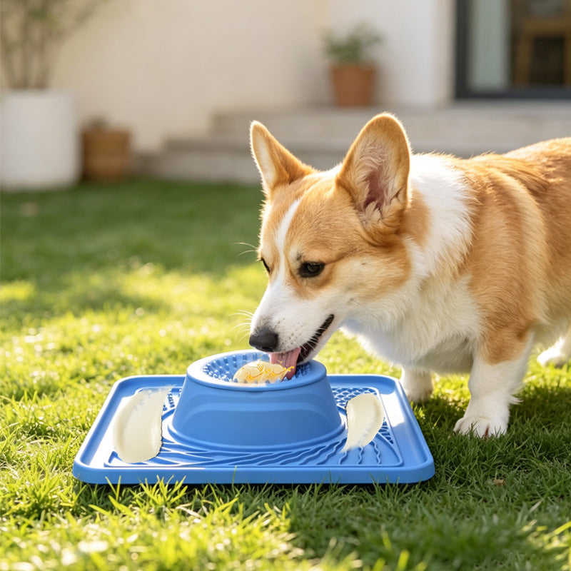 Slow-Feeder Anti-Gulp Bowl