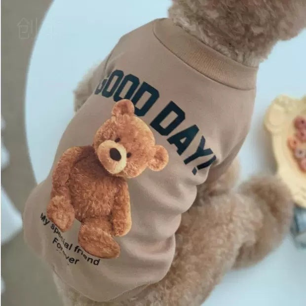 Winter Teddy Bear Coat for Cats & Dogs