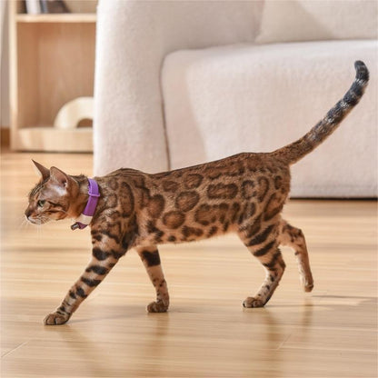 Pet Laser Toy Collar