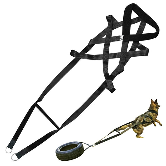 Dog Training Harness & Leash Set