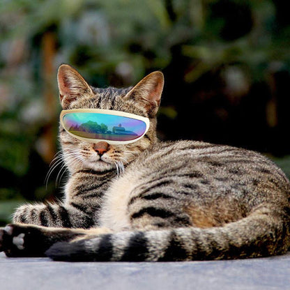 UV Protection Pet Goggles