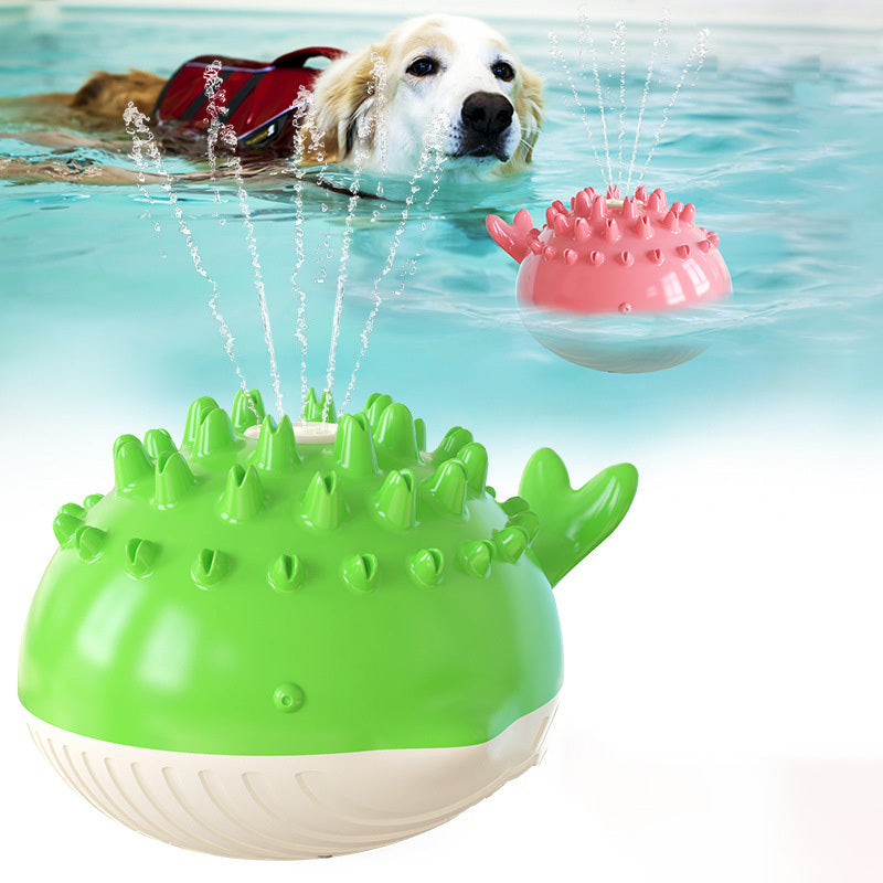 Floating Pet Water Play Toy