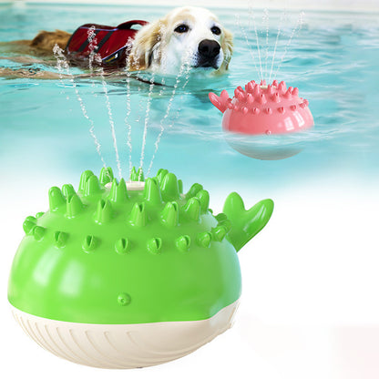 Floating Pet Water Play Toy