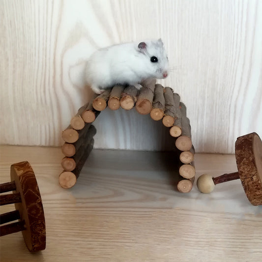 Fun Escape Tunnel for Hamsters & Small Pets