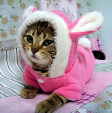 Adorable Rabbit-Ear Pet Jacket