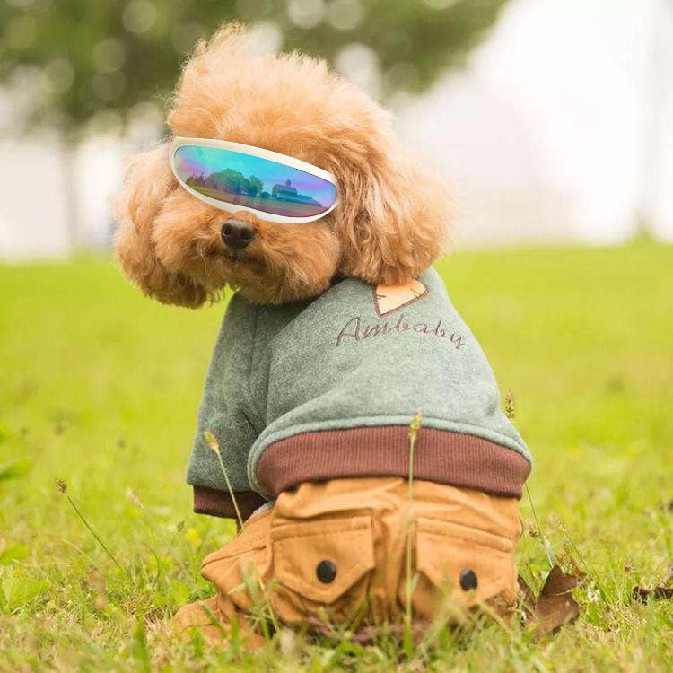 UV Protection Pet Goggles