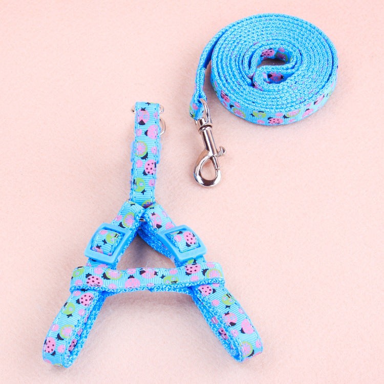 Pet Harness and Leash Set