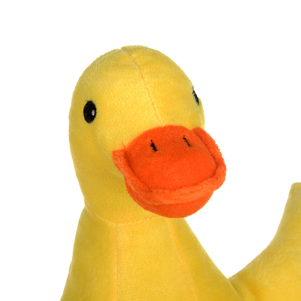Plush Squeaky Dog Toy