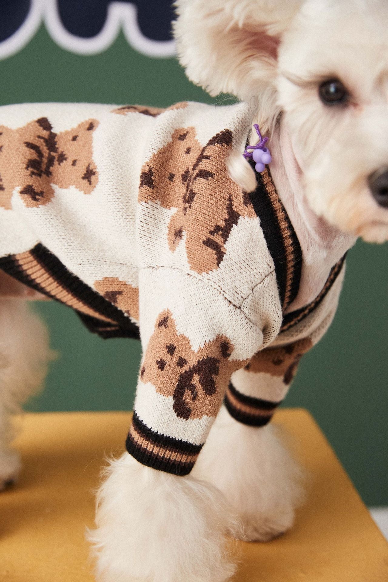 Bear Print Pet Cardigan