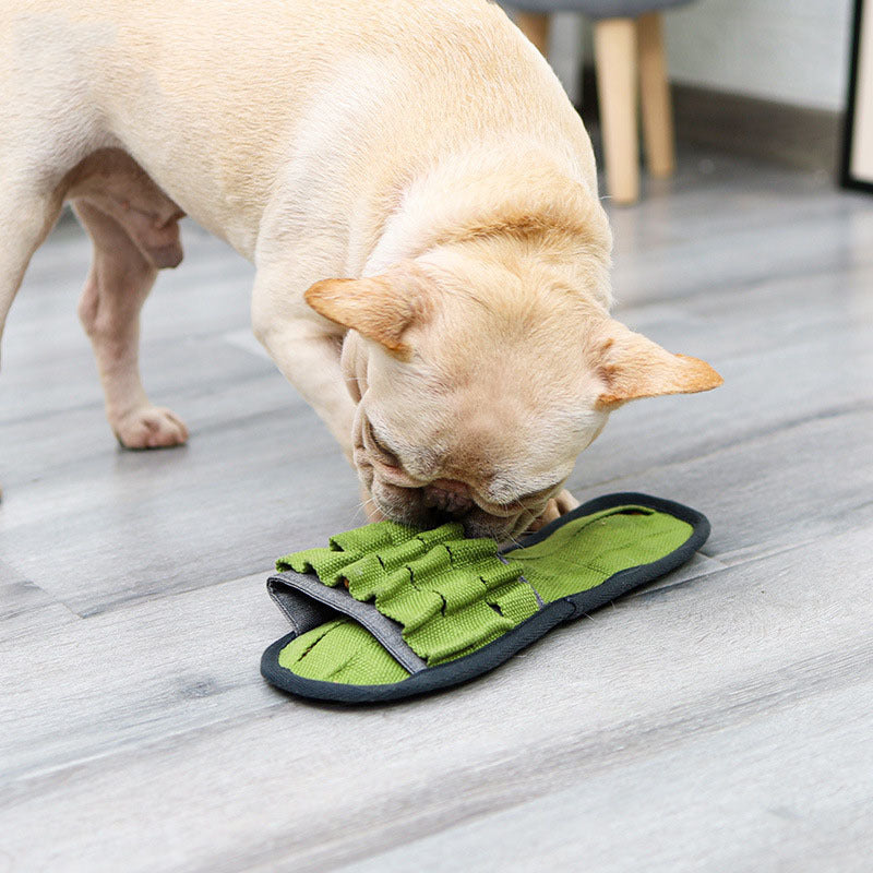 Bite-Resistant Dog Chew Toy