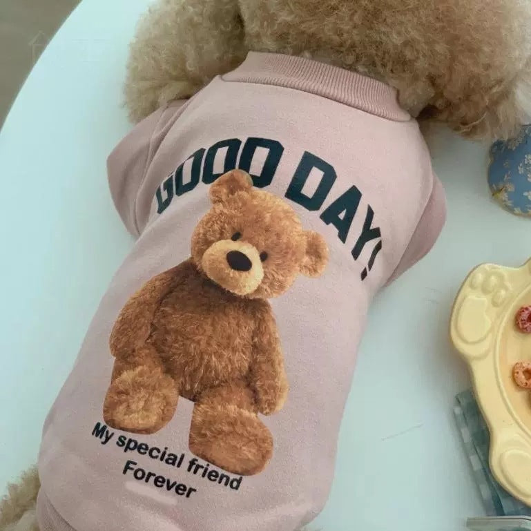 Winter Teddy Bear Coat for Cats & Dogs