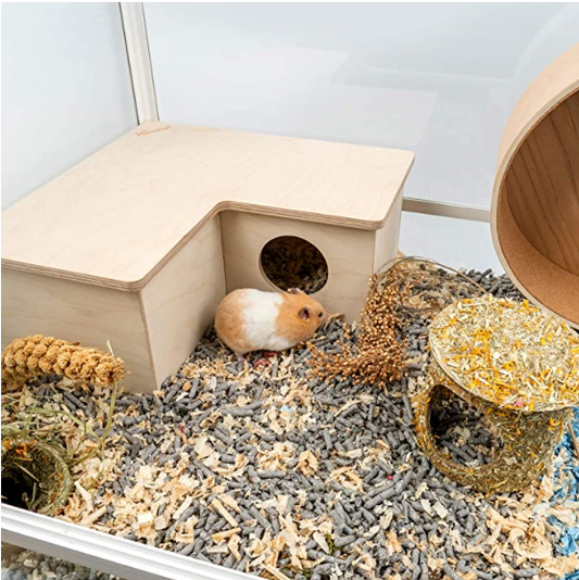 Multi-Room Play Habitat for Hamsters & Small Pets
