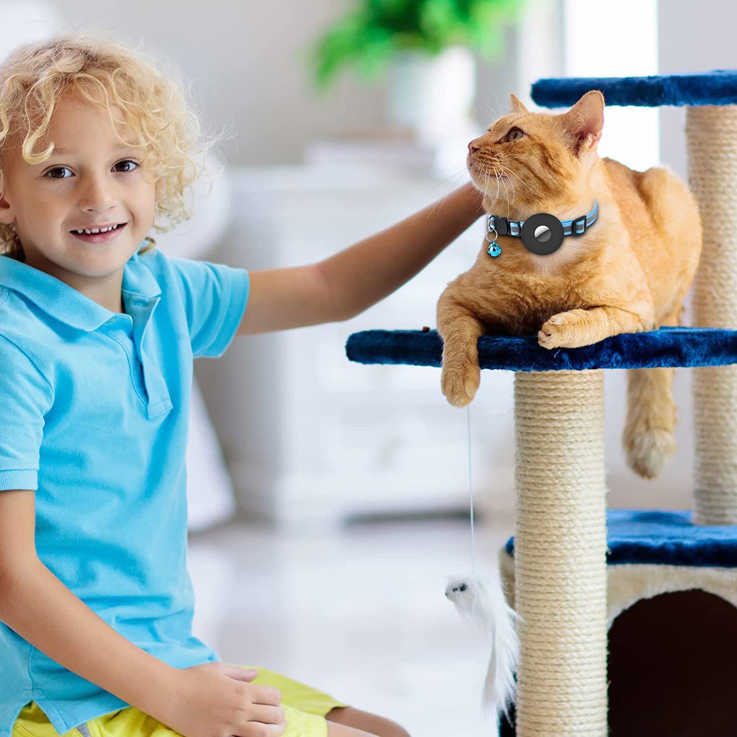 Reflective Anti-Lost Pet Collar with AirTag Holder