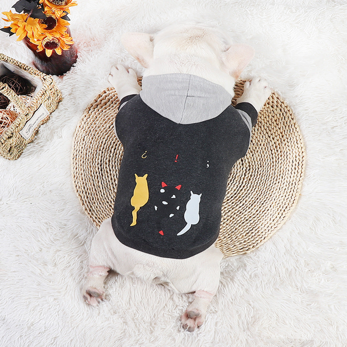 Stylish Two-Legged Pet Sweater