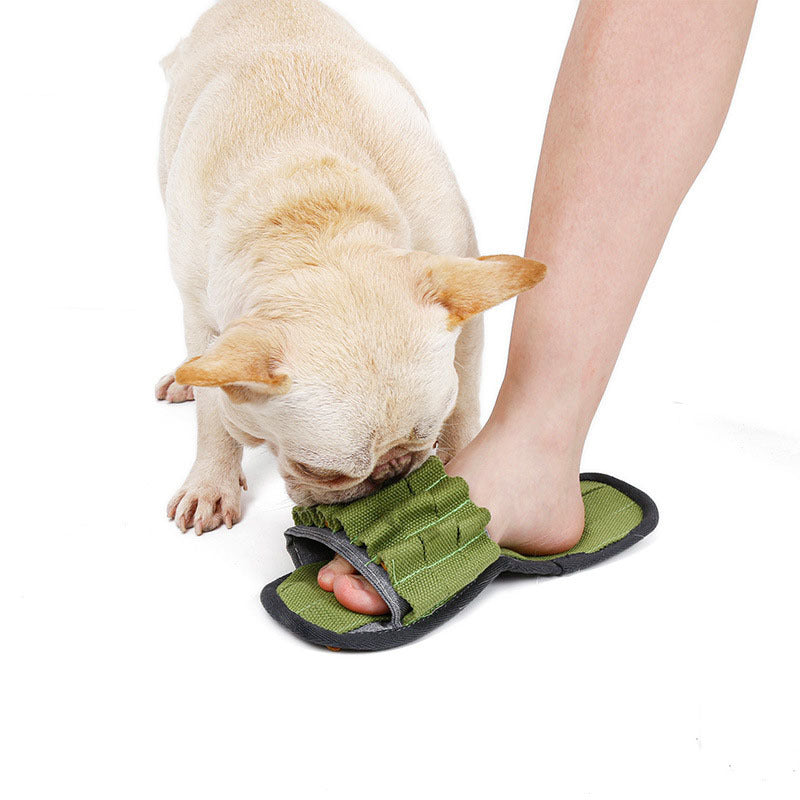Bite-Resistant Dog Chew Toy