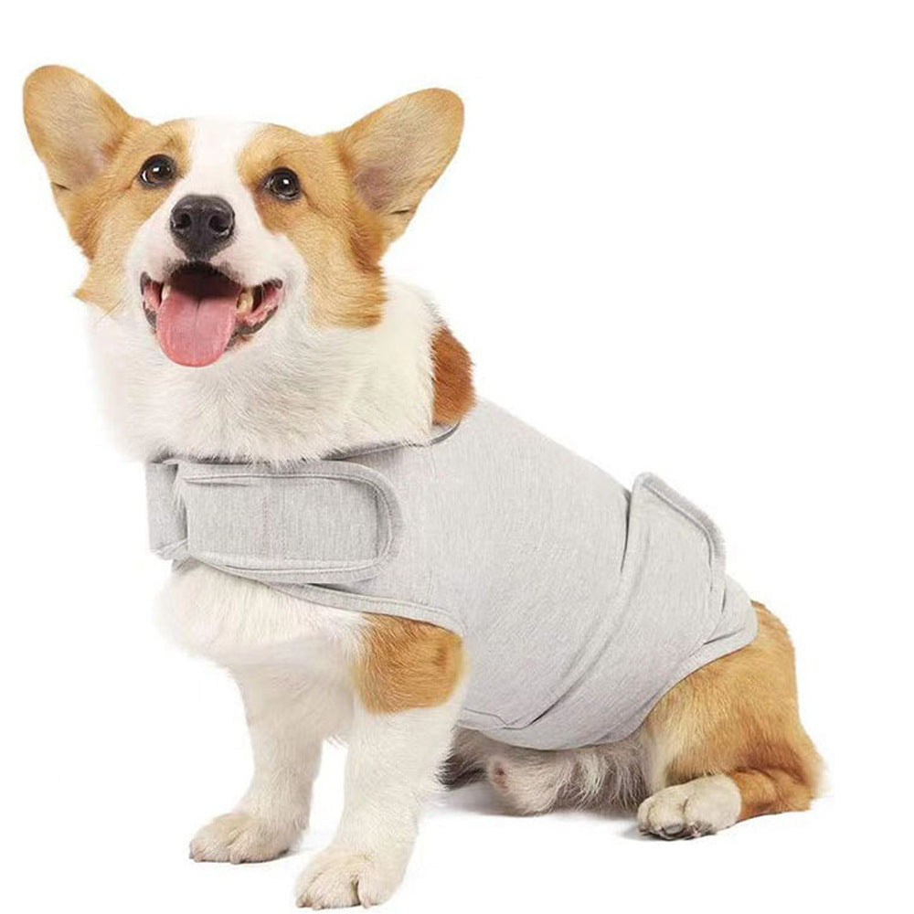 Calming Pheromone Collar for Dogs