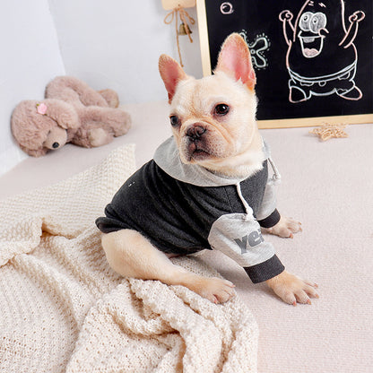 Stylish Two-Legged Pet Sweater