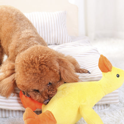 Plush Squeaky Dog Toy