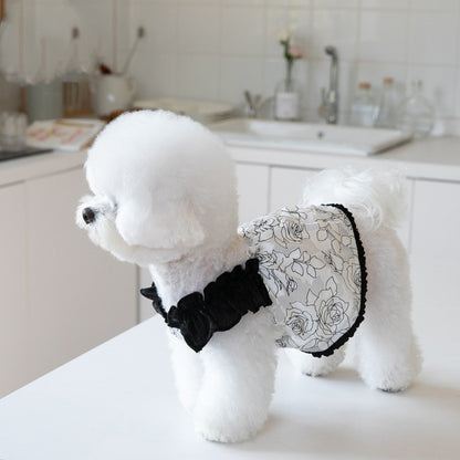 Elegant Chiffon Pet Dress