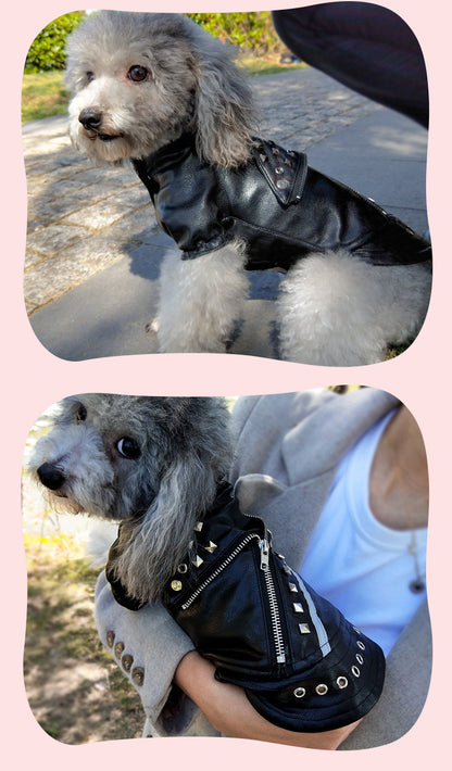 Korean-Style Leather Dog Winter Coat