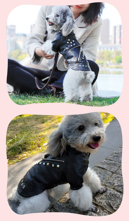 Korean-Style Leather Dog Winter Coat