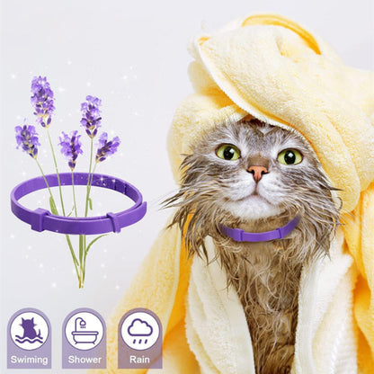 Calming Pheromone Collar for Dogs & Cats