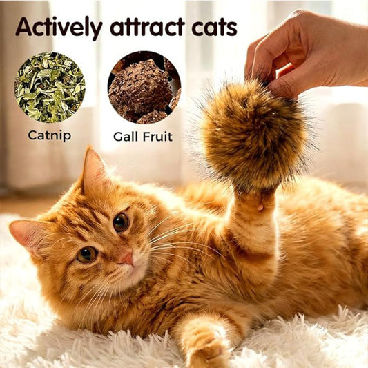 Adjustable No-Pull Harness & Leash Set