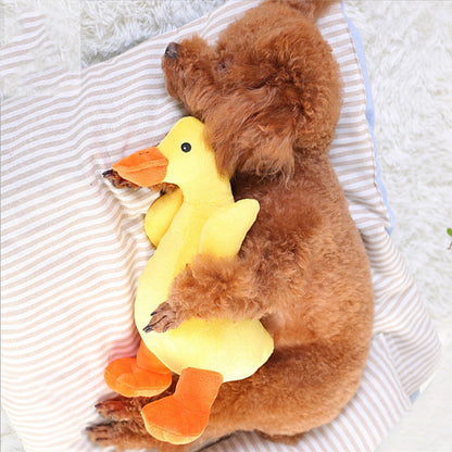 Plush Squeaky Dog Toy