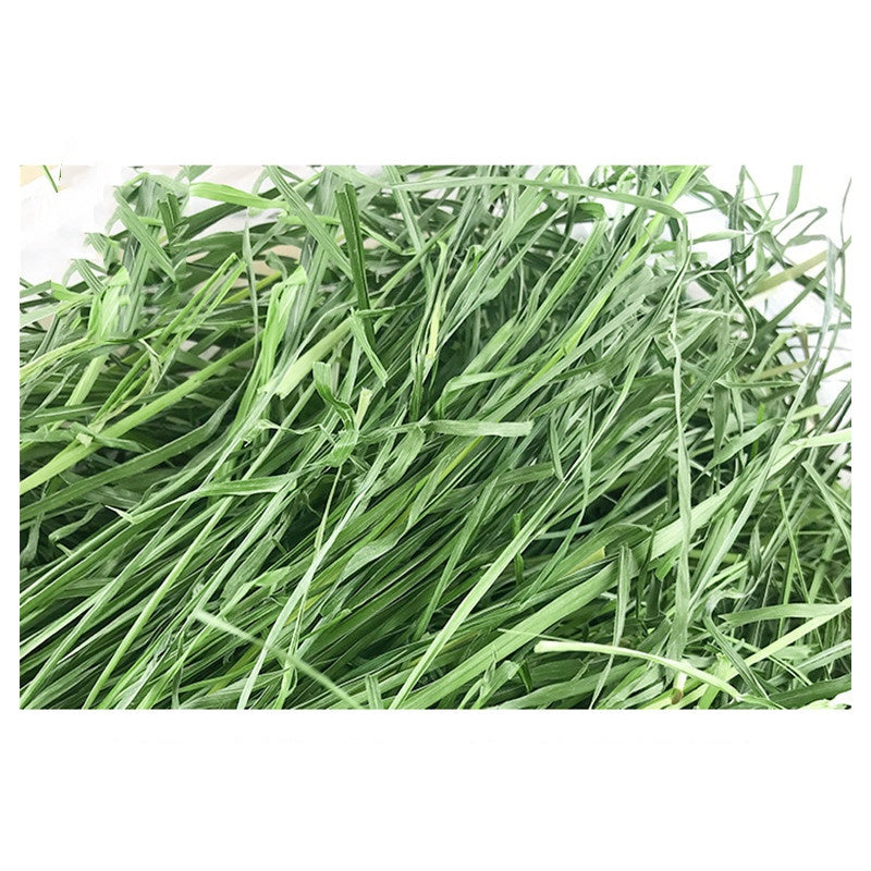Natural Timothy Hay Chew Snacks for Small Pets