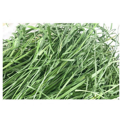 Natural Timothy Hay Chew Snacks for Small Pets