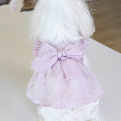 Korean-Style Fashion Pet Outfit