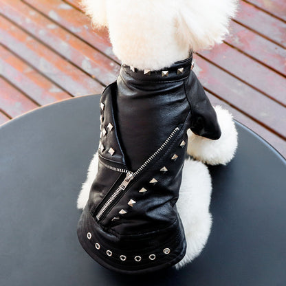 Korean-Style Leather Dog Winter Coat