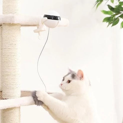 Interactive Electronic Motion Cat Toy