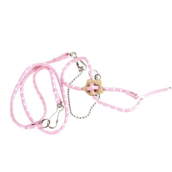 Adjustable Harness & Leash Set for Small Pets
