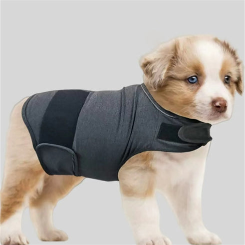 Calming Pheromone Collar for Dogs