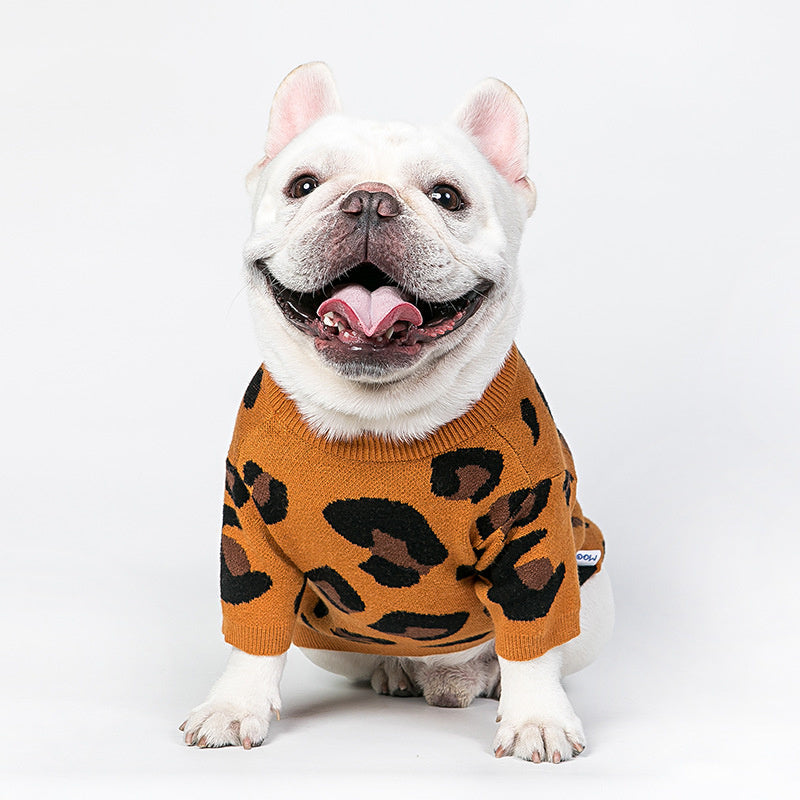 Cozy Outfit for Small Dogs & Cats
