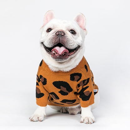 Cozy Outfit for Small Dogs & Cats