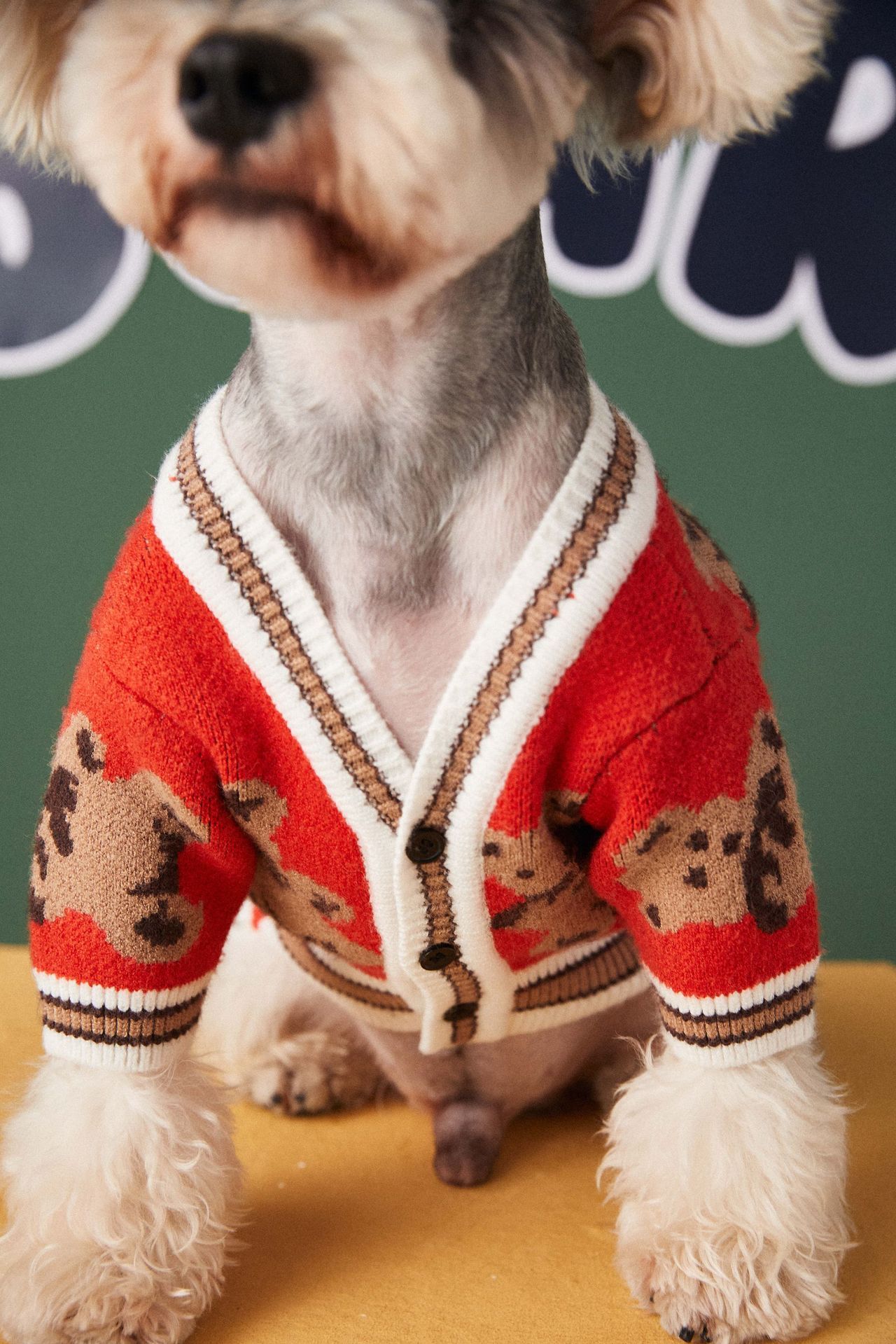 Bear Print Pet Cardigan