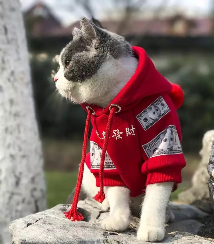 Cotton Fleece Sweater for Cats & Dogs