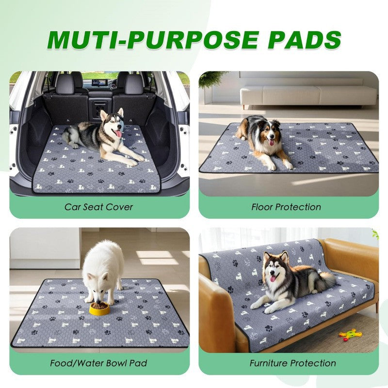 Leak-Proof Training Pee Pads for Dogs & Cats