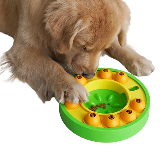 Slow Feeder Puzzle Bowl for Pets