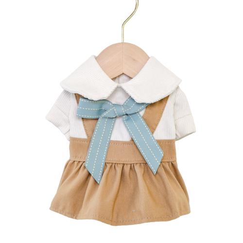 Cute Outing Dress for Pets