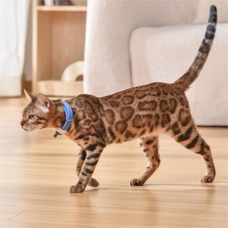 Pet Laser Toy Collar