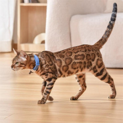 Pet Laser Toy Collar