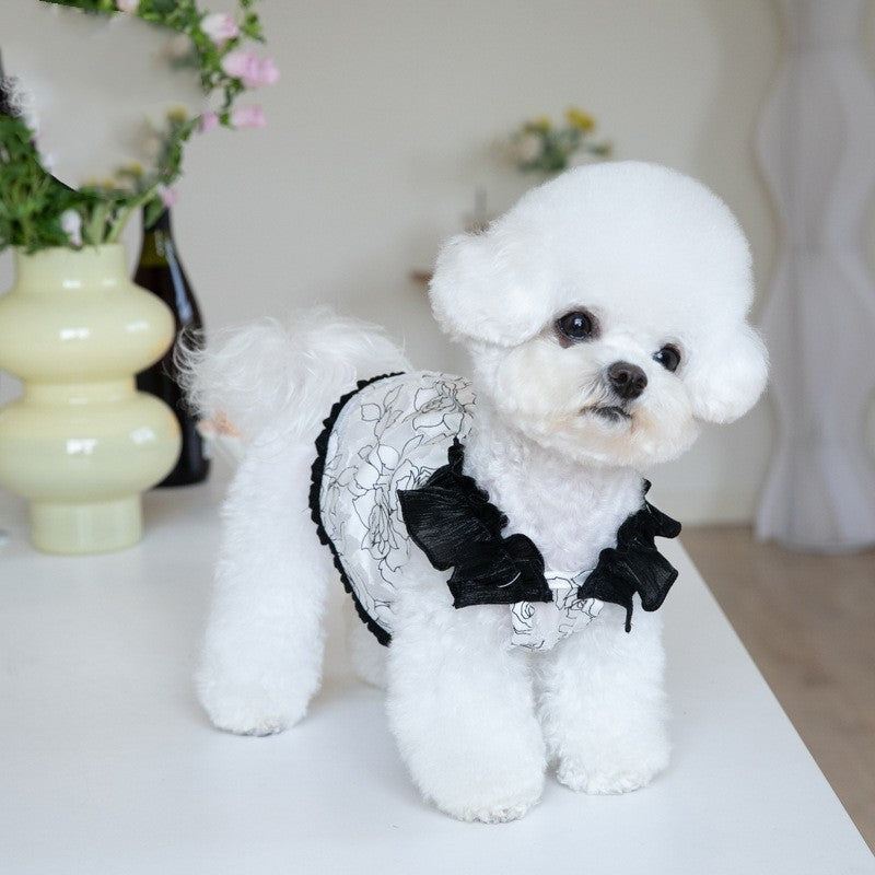 Elegant Chiffon Pet Dress