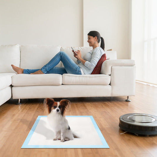 Leak-Proof Training Pee Pads for Dogs & Cats