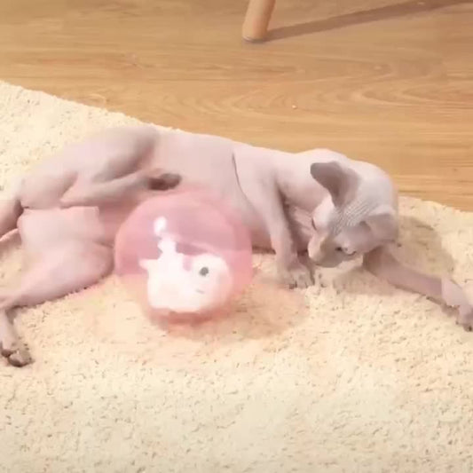 Electric Rolling Ball Toy for Hamsters & Rabbits